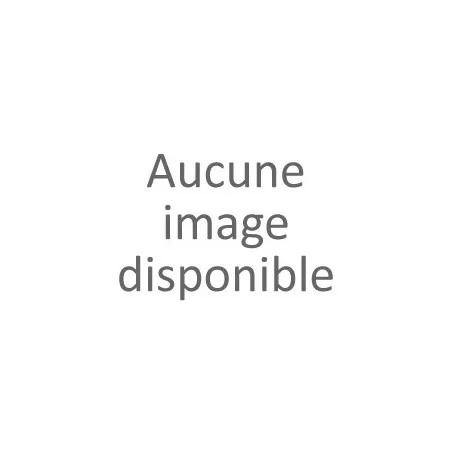 Ceinture suédine femme coloris tan